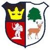 Cinderford Town